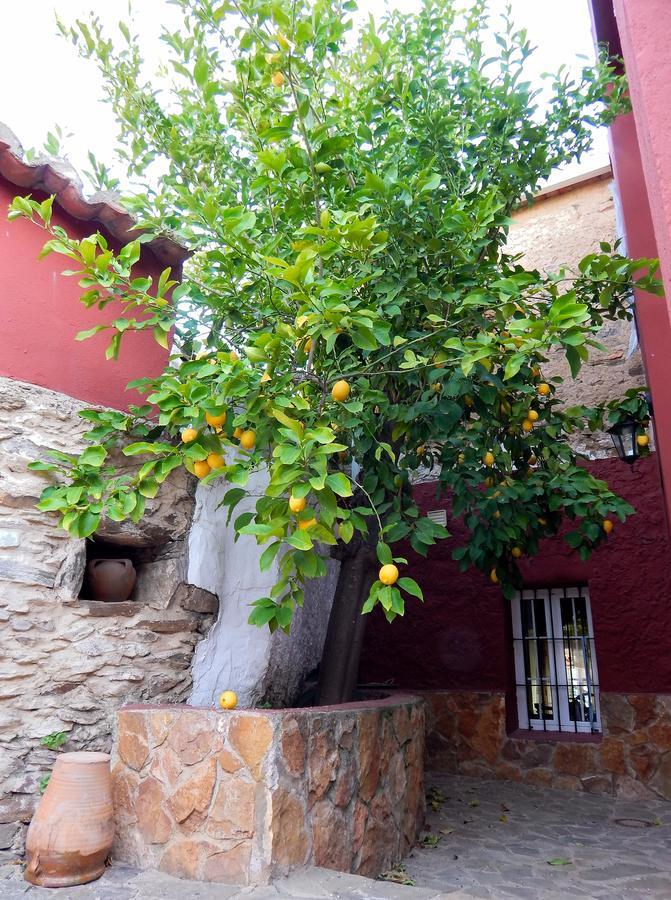 Casa Rural La Perra Gorda Zorita  외부 사진